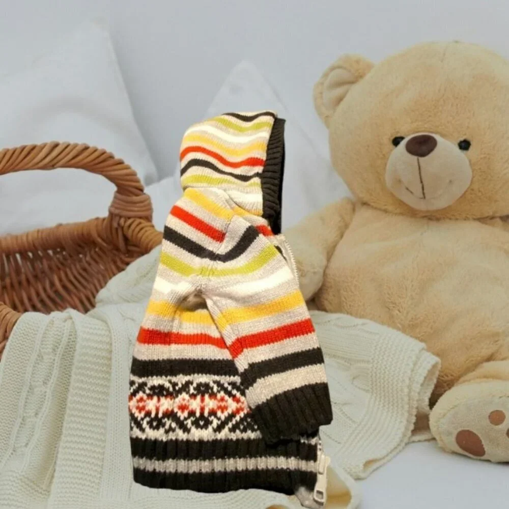 Gymboree Baby Hooded Sweater
